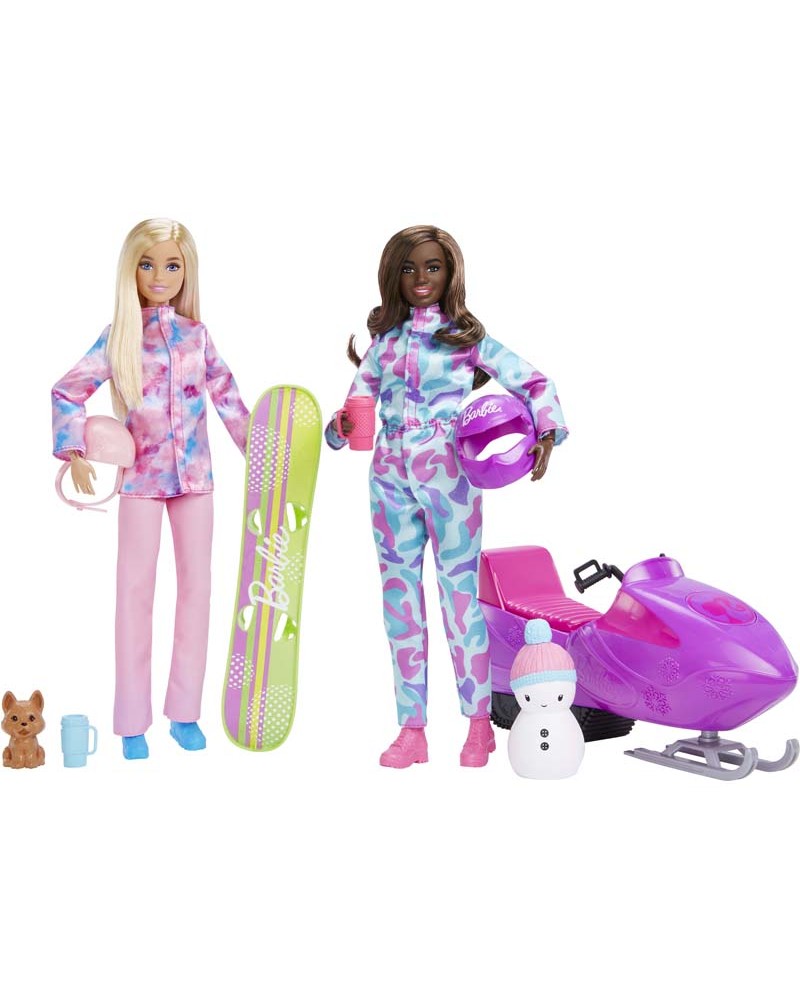 https://www.jouets-sajou.com/170019-large_default/coffret-barbie-sports-hiver.jpg